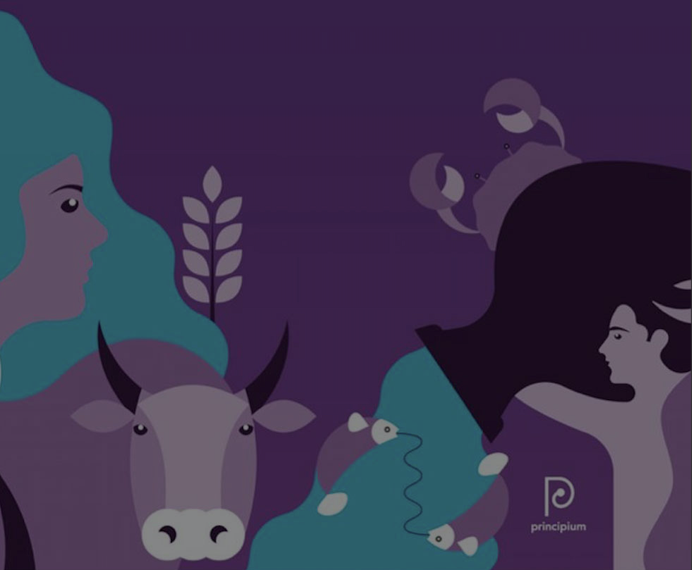 Livro "A Luz e a Sombra dos 12 signos", escrito pela astróloga Cláudia Lisboa.