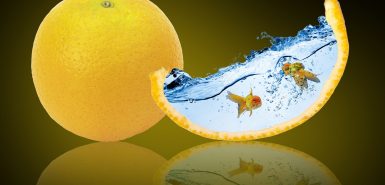 signos-complementares