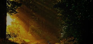 signo-oposto-complementar