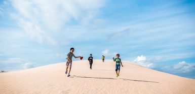 signos-complementares