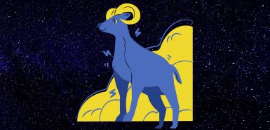 meio-do-ceu-capricornio