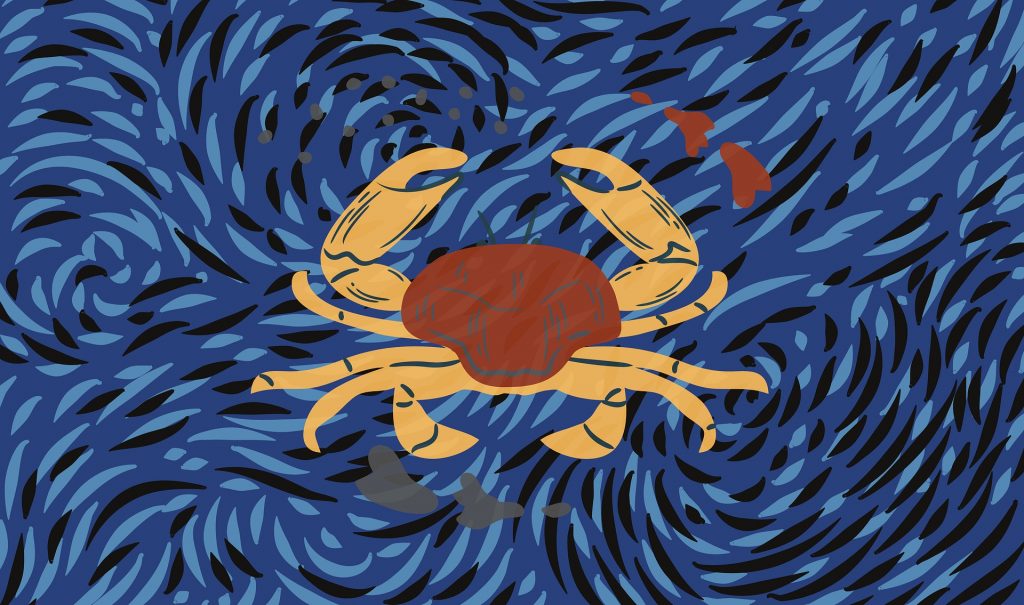 signo-de-cancer