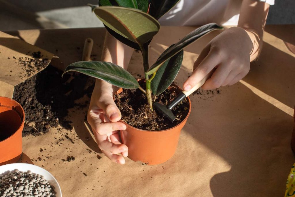 Imagem de mãos plantando em um pequeno vaso de plástico com terra, simbolizando o elemento Terra para artigo sobre os signos de Terra