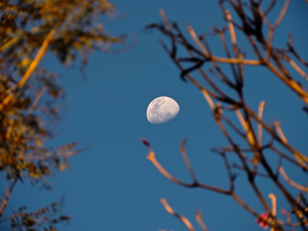 lua-minguante-na-astrologia