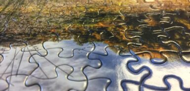 imagem aproximada de um quebra-cabeça montado, formando uma imagem relacionada à natureza, ilustrando artigo sobre a temporada de virgem
