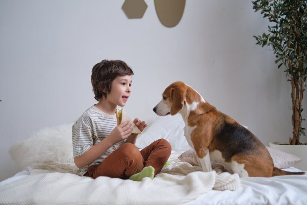 O olhar curioso de um beagle encontra a oferta de comida de uma criança, uma imagem de confiança e compartilhamento