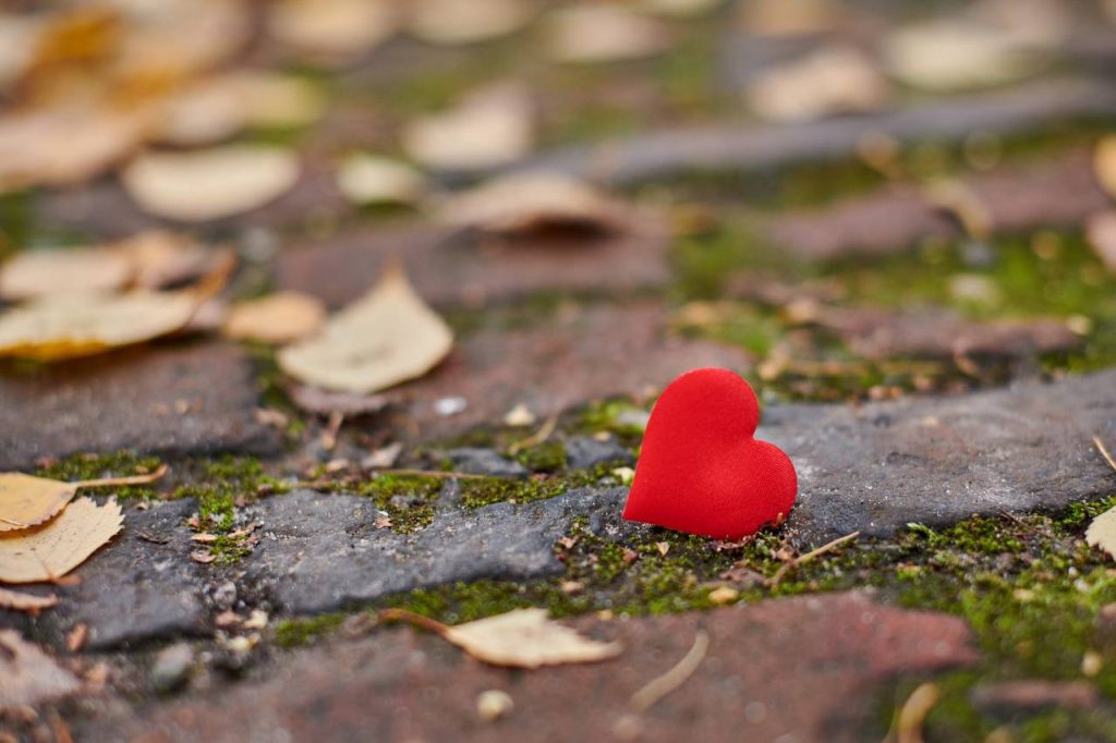 Conceito de amor ou amizade