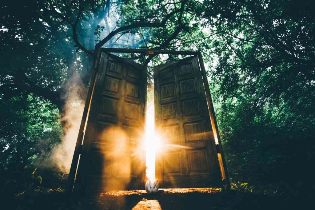 uma porta no meio da floresta, entreaberta com a luz do sol