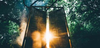 uma porta no meio da floresta, entreaberta com a luz do sol