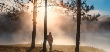 Silhueta de mulher em pé na floresta profunda com um raio de neblina e sol na manhã