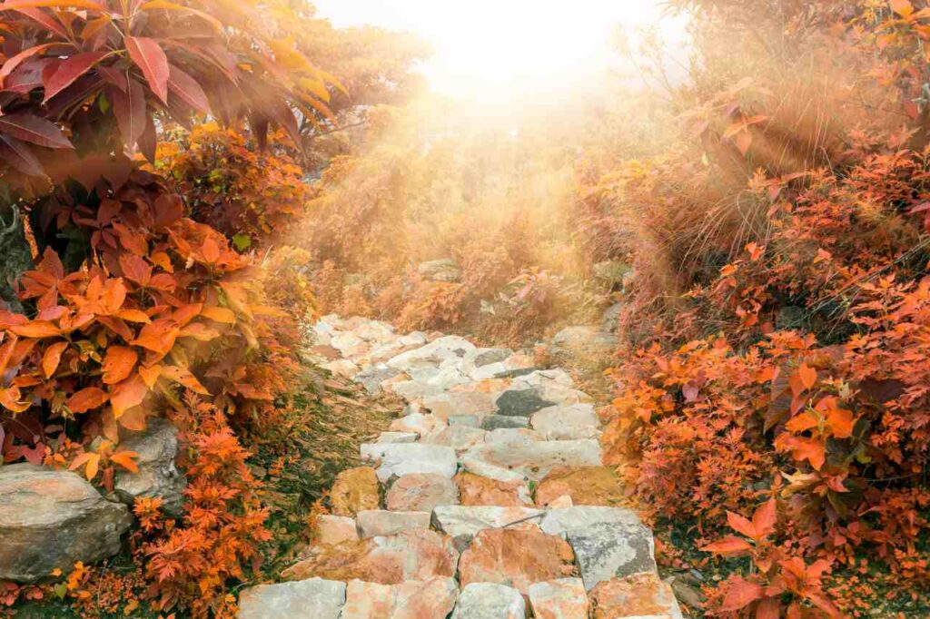 bela estrada de pedra sob o sol no Nepal, caminhada em Annapurna